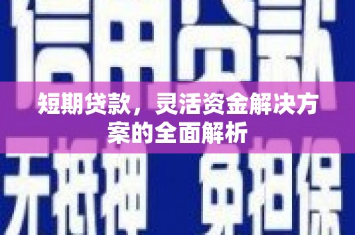 西林短期贷款，灵活资金解决方案的全面解析