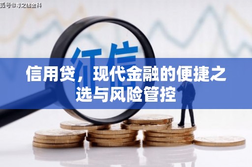 西林信用贷，现代金融的便捷之选与风险管控