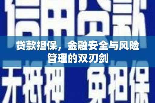 西林贷款担保，金融安全与风险管理的双刃剑