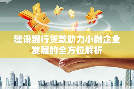 西林建设银行贷款助力小微企业发展的全方位解析