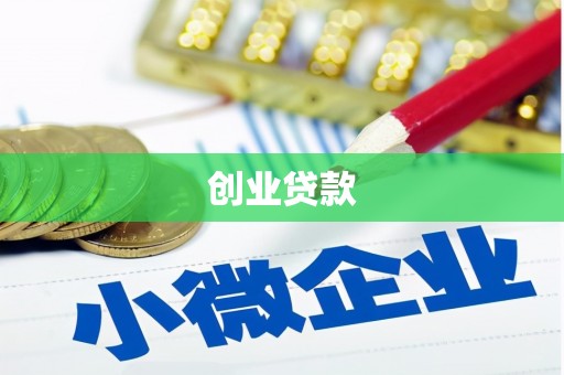 西林创业贷款