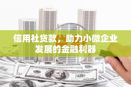 西林信用社贷款，助力小微企业发展的金融利器