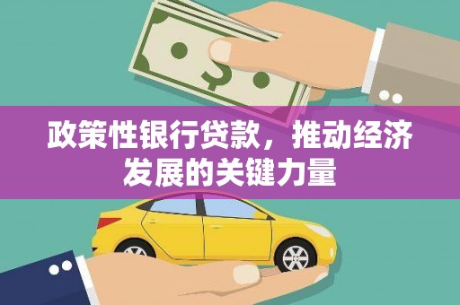 西林政策性银行贷款，推动经济发展的关键力量