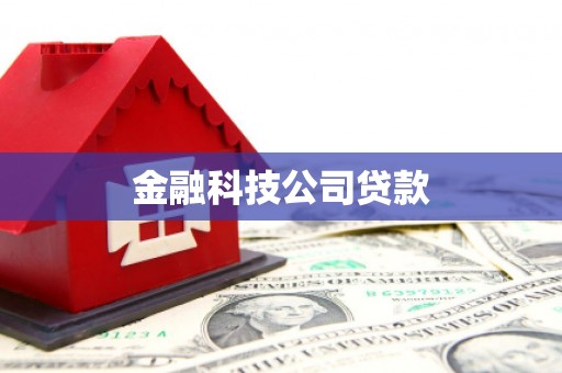 西林金融科技公司贷款