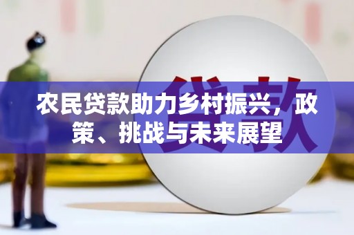 西林农民贷款助力乡村振兴，政策、挑战与未来展望