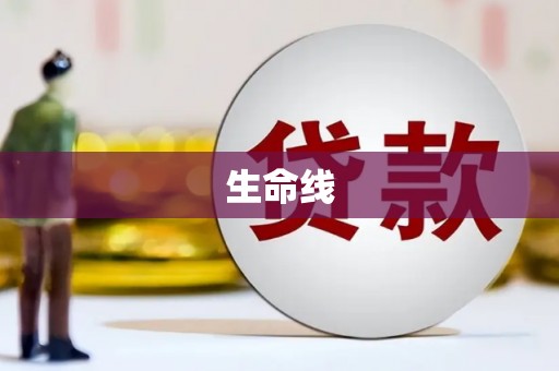 西林生命线