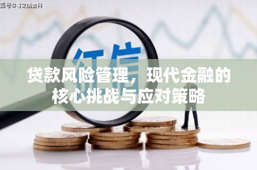 西林贷款风险管理，现代金融的核心挑战与应对策略