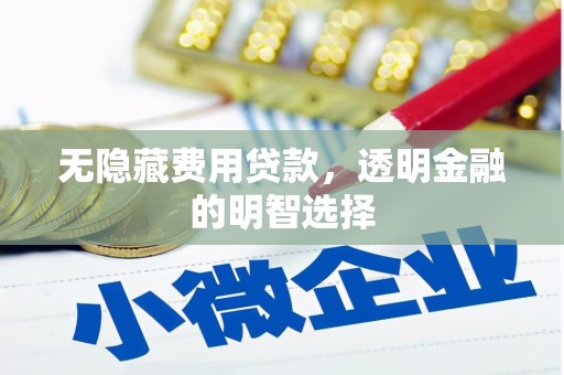 西林无隐藏费用贷款，透明金融的明智选择
