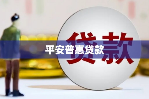 西林平安普惠贷款