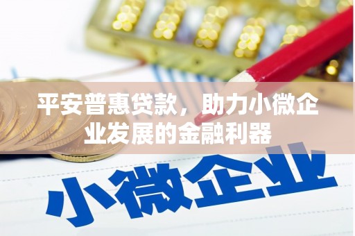 西林平安普惠贷款，助力小微企业发展的金融利器