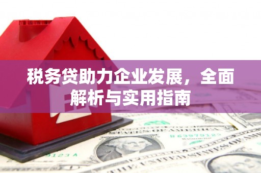 西林税务贷助力企业发展，全面解析与实用指南