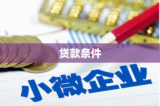 西林贷款条件