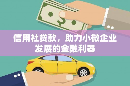 西林信用社贷款，助力小微企业发展的金融利器