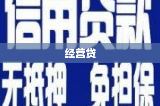 西林经营贷
