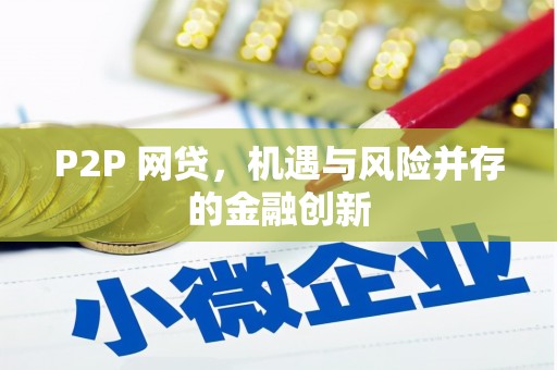 西林P2P 网贷，机遇与风险并存的金融创新