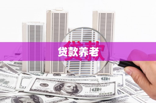 西林贷款养老