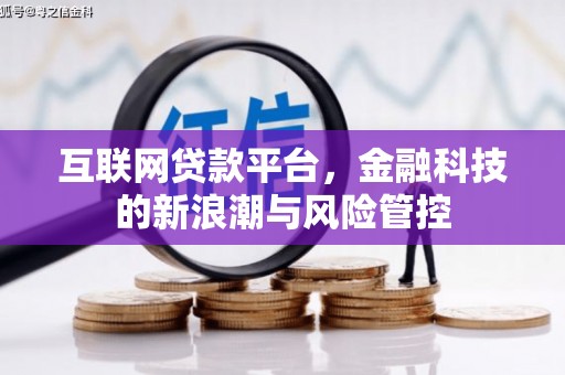 西林互联网贷款平台，金融科技的新浪潮与风险管控