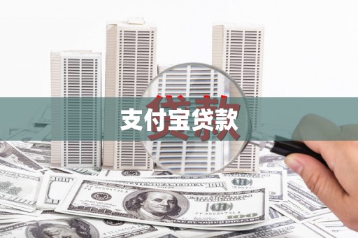 西林支付宝贷款