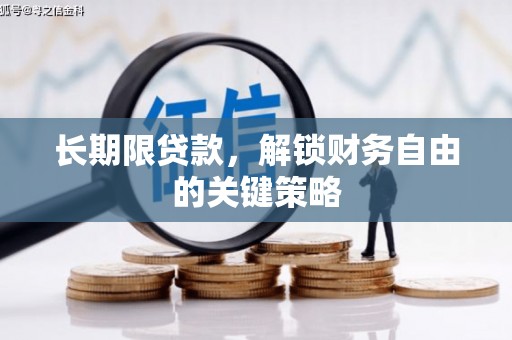 西林长期限贷款，解锁财务自由的关键策略