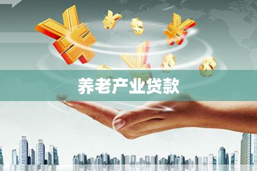 西林养老产业贷款