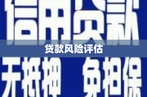 西林贷款风险评估