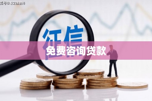 西林免费咨询贷款