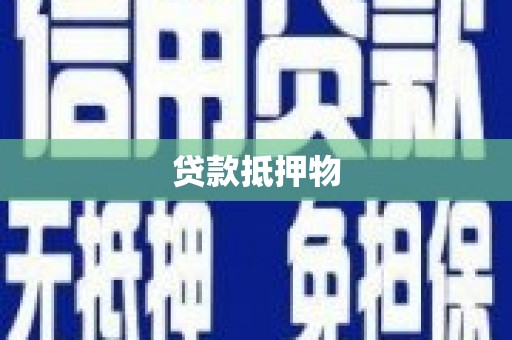 西林贷款抵押物