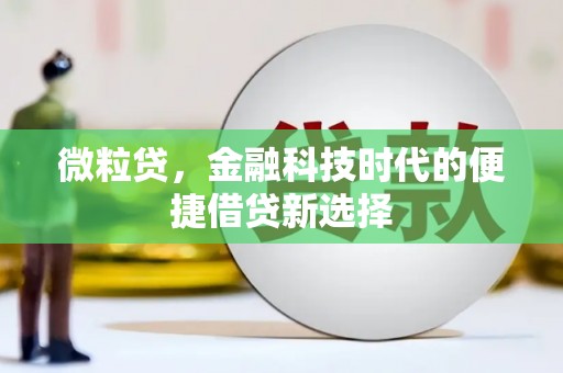 西林微粒贷，金融科技时代的便捷借贷新选择