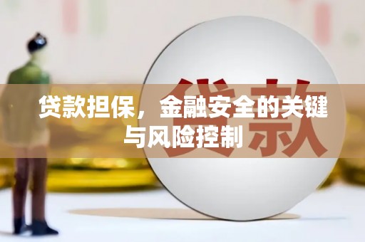 西林贷款担保，金融安全的关键与风险控制