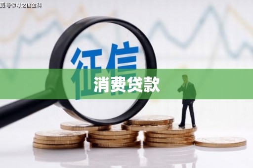 西林消费贷款
