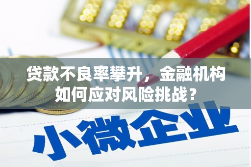 西林贷款不良率攀升，金融机构如何应对风险挑战？