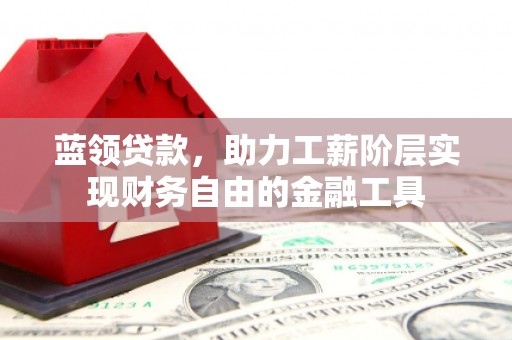 西林蓝领贷款，助力工薪阶层实现财务自由的金融工具
