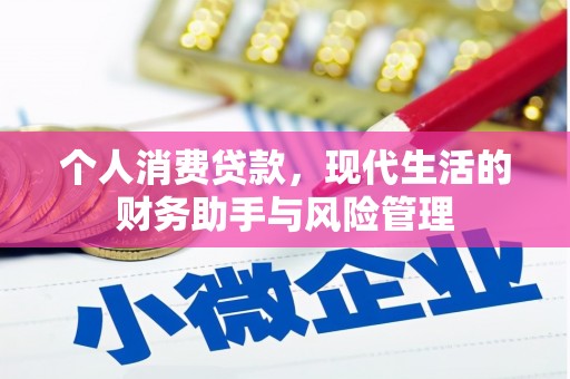 西林个人消费贷款，现代生活的财务助手与风险管理