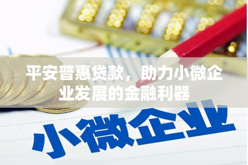 西林平安普惠贷款，助力小微企业发展的金融利器