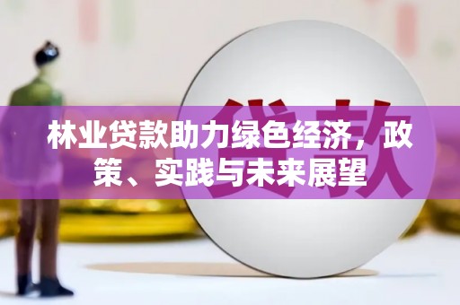 西林林业贷款助力绿色经济，政策、实践与未来展望