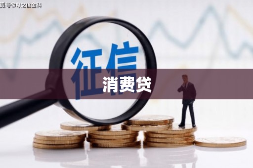 西林消费贷
