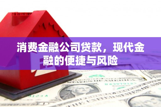 西林消费金融公司贷款，现代金融的便捷与风险