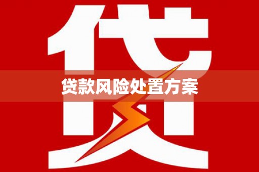 西林贷款风险处置方案
