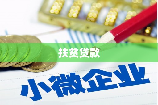 西林扶贫贷款