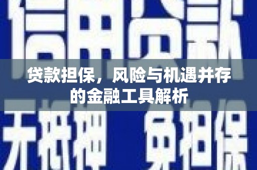 西林贷款担保，风险与机遇并存的金融工具解析