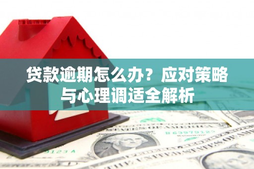 西林贷款逾期怎么办？应对策略与心理调适全解析