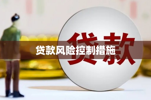 西林贷款风险控制措施