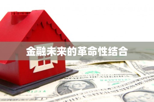西林金融未来的革命性结合