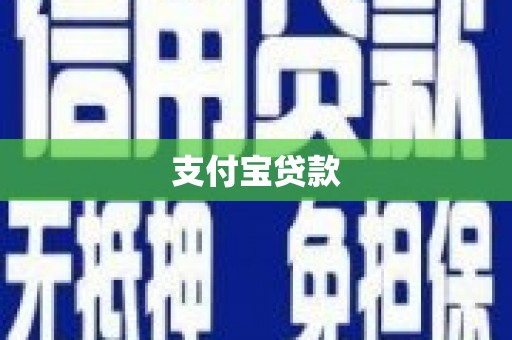 西林支付宝贷款