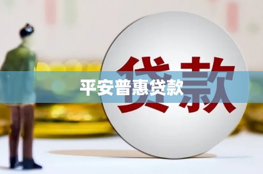 西林平安普惠贷款